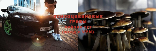 ГАЛЛЮЦИНОГЕННЫЕ ГРИБЫ Красноперекопск