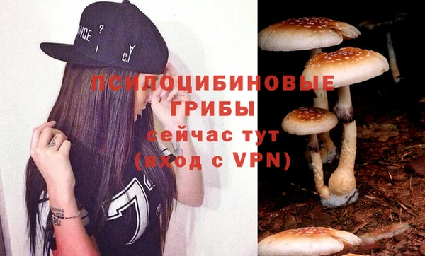 ПСИЛОЦИБИНОВЫЕ ГРИБЫ Куйбышев