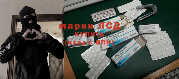 стаф Кулебаки