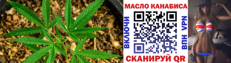 Купить закладки  Лосино-Петровский  ТГК гашишное масло 